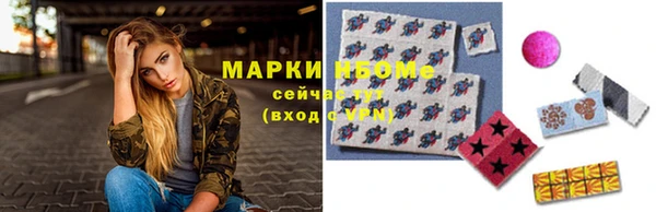 spice Богородицк