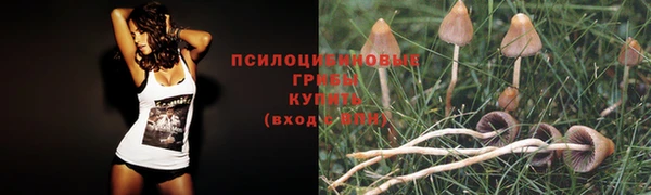 наркотики Богородск