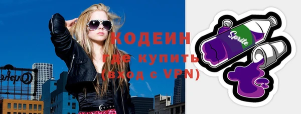 spice Богородицк