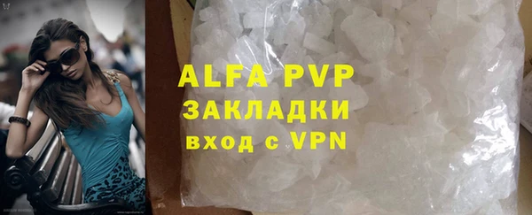 гашик Богданович