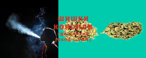 spice Богородицк